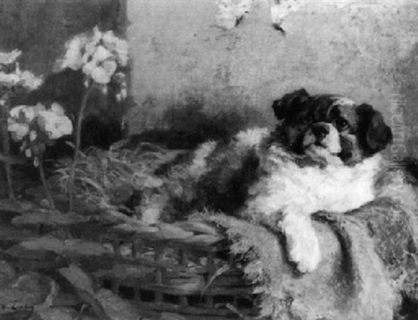 A Puppy Watching Butterflies - view 1