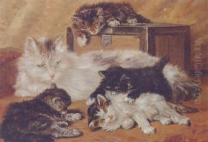 Playful Kittens With Their Mother