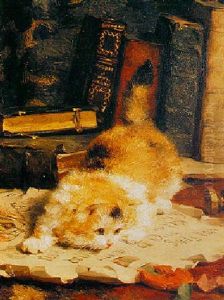A Kitten Playing