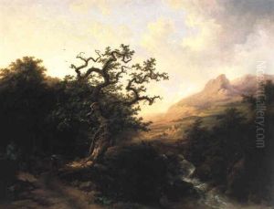 Wooded Landscape Wooded Landscape
