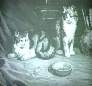To Katte Pa Et Bord