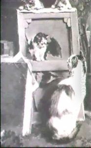 Guignol Improvise