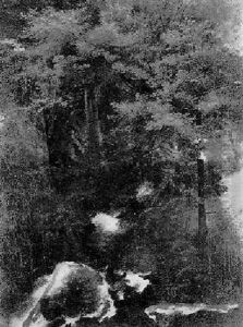 Baumstudie by Louis Eysen