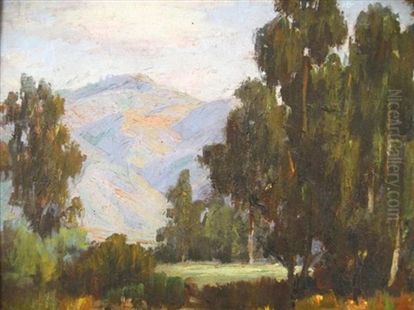 California Landscape - view 1