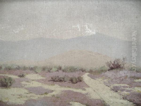 Desert Landscape - view 1