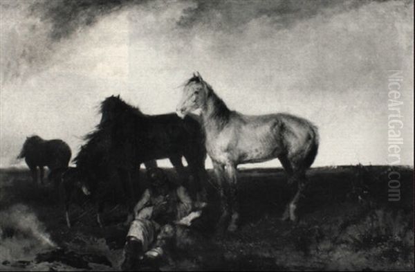 Pferde In Ungar - view 1