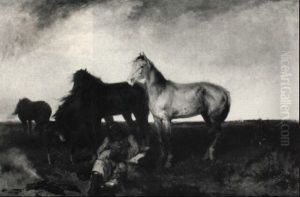 Pferde In Ungar Pferde In Ungar