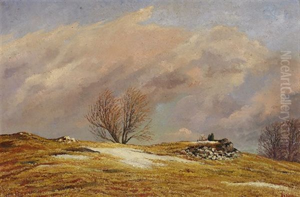 Sturm Im Vorfruhling Zwischen Engelhof Und Diggoldsburg Ostlich - view 1