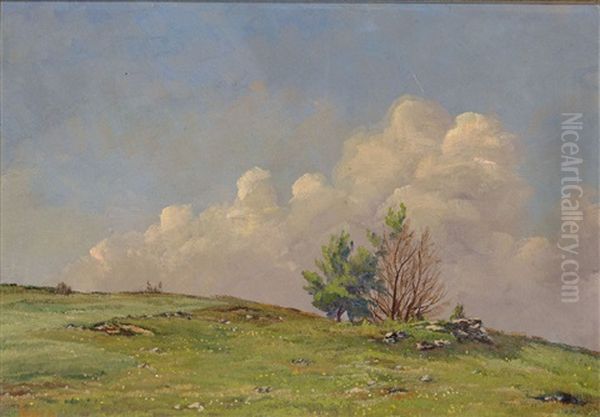 Alblandschaft - view 1