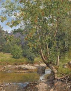 Stream Scenery by Anders Monsen Askevold