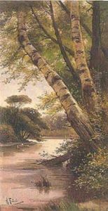 Paisaje Paisaje
