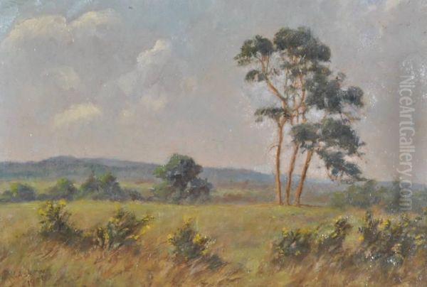 Extensive Landscape - view 1