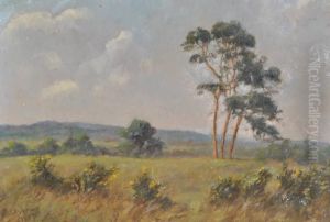 Extensive Landscape by John Askew