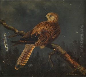 Mehilaishaukka by Reinhold Fabritius