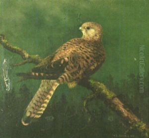 Mehilaishaukka by Reinhold Fabritius