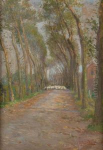 Troupeau De Moutons Dans Une Allee Troupeau De Moutons Dans Une Allee