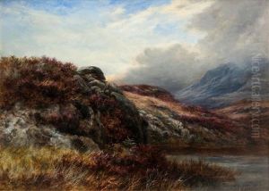 On Quiet Hillside Where The Heather Grows Near Galloway, Kirkcudbrightshire