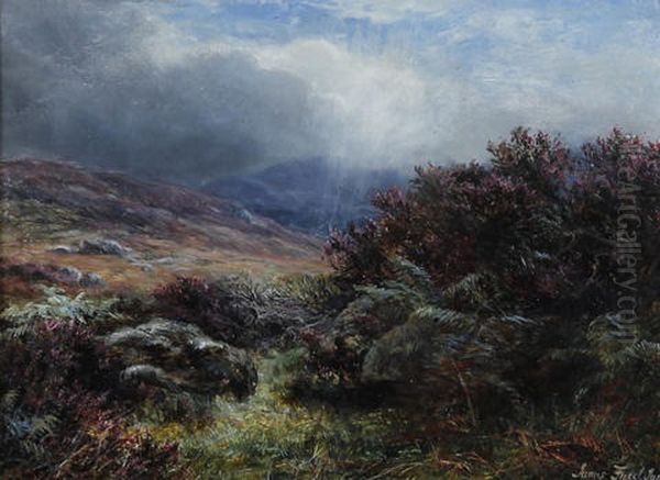 In The Scottish Hills, The Heather In Flower - view 1