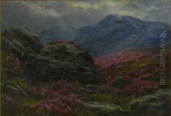 Dumfrieshire (study) - view 1