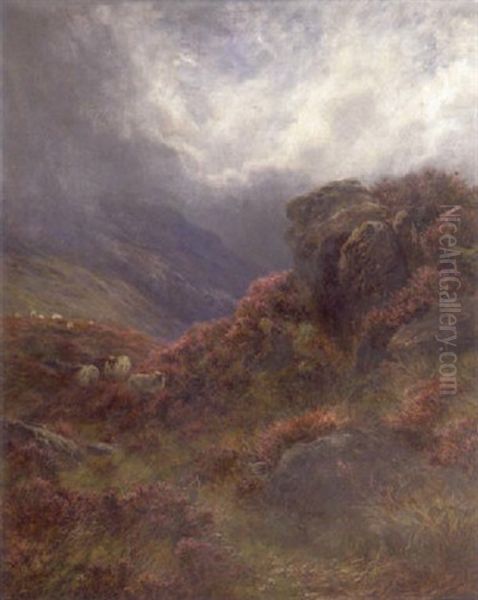 Heather In Bloom, Galloway - view 1