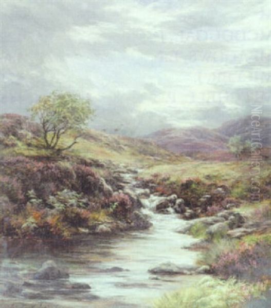 A Highland Burn - view 1