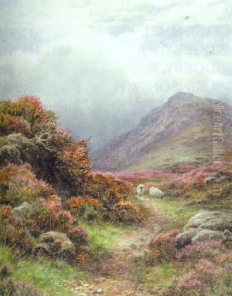A Path On Knocknarling Hill, Newgalloway - view 1