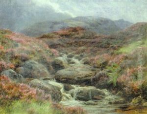 A Highland Burn, Invernesshire A Highland Burn, Invernesshire