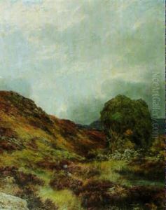 Highland Landscape Highland Landscape