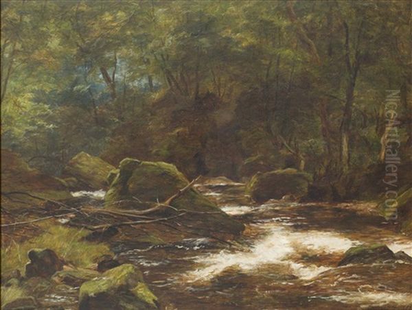 A Highland River In Spate - view 1