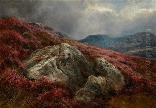 Heather On A Hillside - view 1