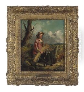 Gleaner Resting Gleaner Resting