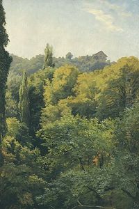 Blick Auf Die 'molkenkur' (heidelberg)