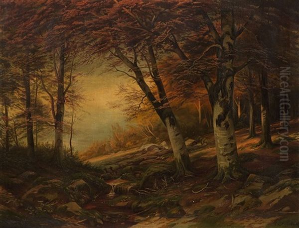 In The Beech Forest - view 1