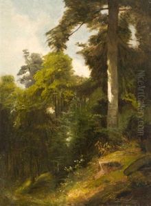 Sous-bois