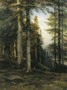 Hugelige Waldpartie Mit Rehen Hugelige Waldpartie Mit Rehen