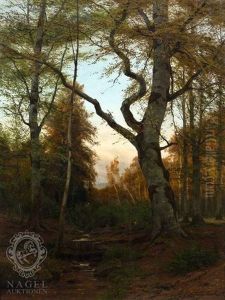 Waldinneres Mit Rehen An Einem Bachlauf