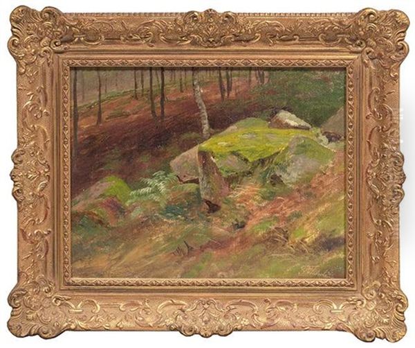 Felsige Waldlandschaft - view 1