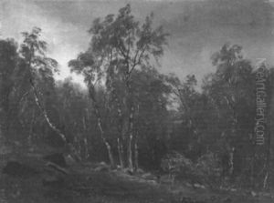 Waldinneres Mit Mann Und Hund Bei Einer Birkengruppe Waldinneres Mit Mann Und Hund Bei Einer Birkengruppe