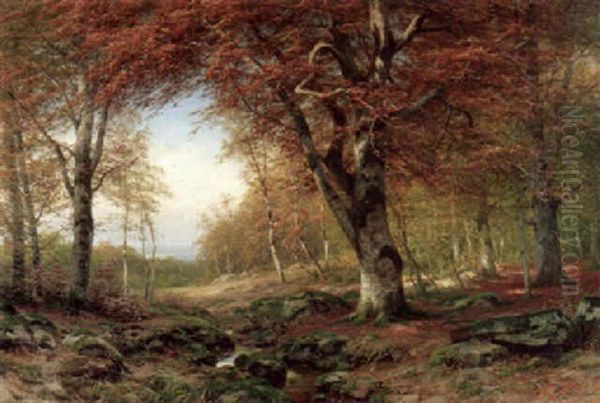 Herbstwald Mit Ausblick In Ein Flusstal (rhein?) - view 1