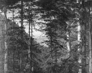 Waldinneres Mit Ausblick Ins Neckartal