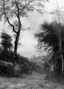 Waldlandschaft Mit Rehwild by Carl Ludwig Fahrbach