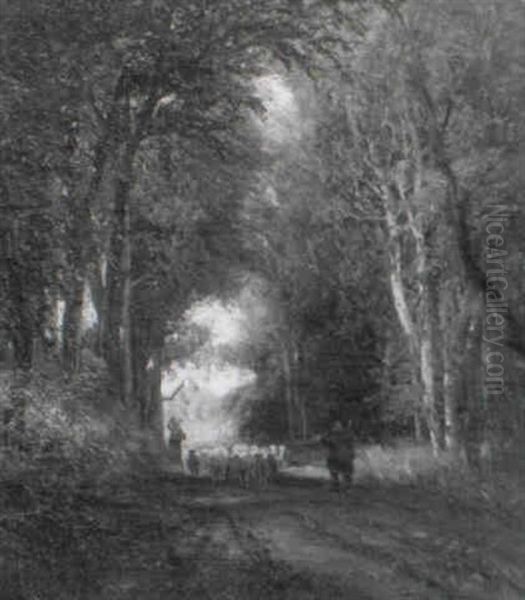 Schafer Mit Seiner Herde Auf Dem Waldweg - view 1