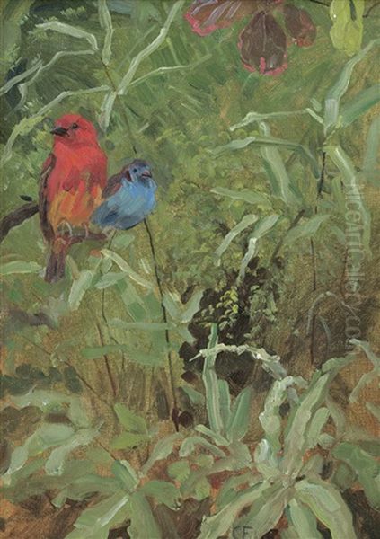 Zwei Exotische Vogel - view 1