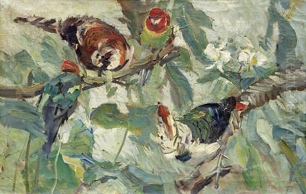 Exotische Vogel - view 1