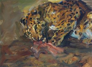 Leopard