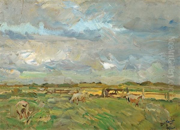 Aufziehendes Gewitter - view 1