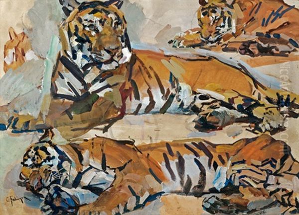3 Tiger - view 1