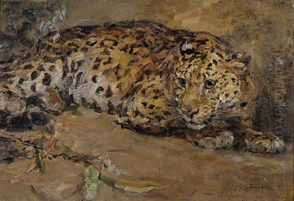 Leopard - view 1