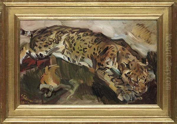 A Leopard - view 1