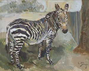 Zebra